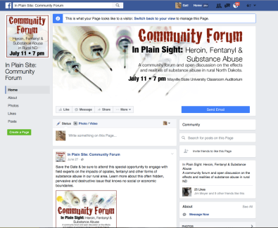 Facebook Page - In Plain Sight